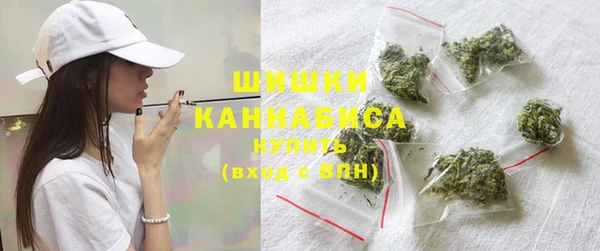 тгк Пересвет