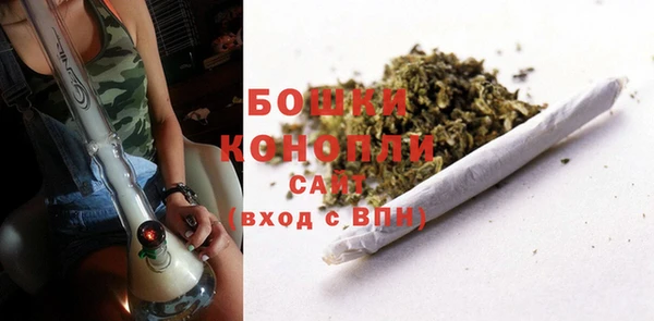 хмурый Пестово