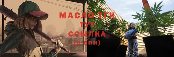 тгк Пересвет