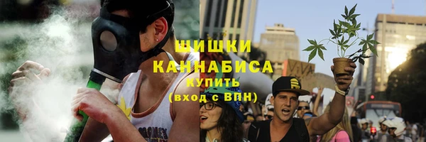 тгк Пересвет