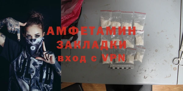 тгк Пересвет