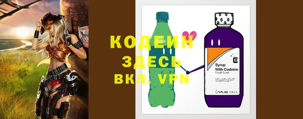 хмурый Пестово