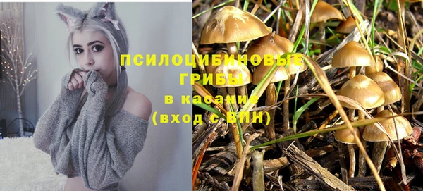 хмурый Пестово