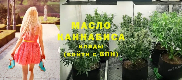 хмурый Пестово