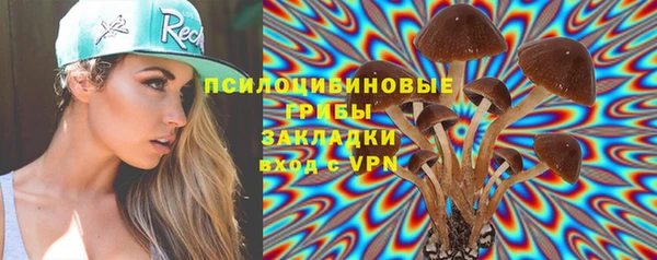 хмурый Пестово