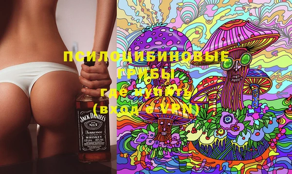 тгк Пересвет