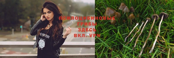 тгк Пересвет
